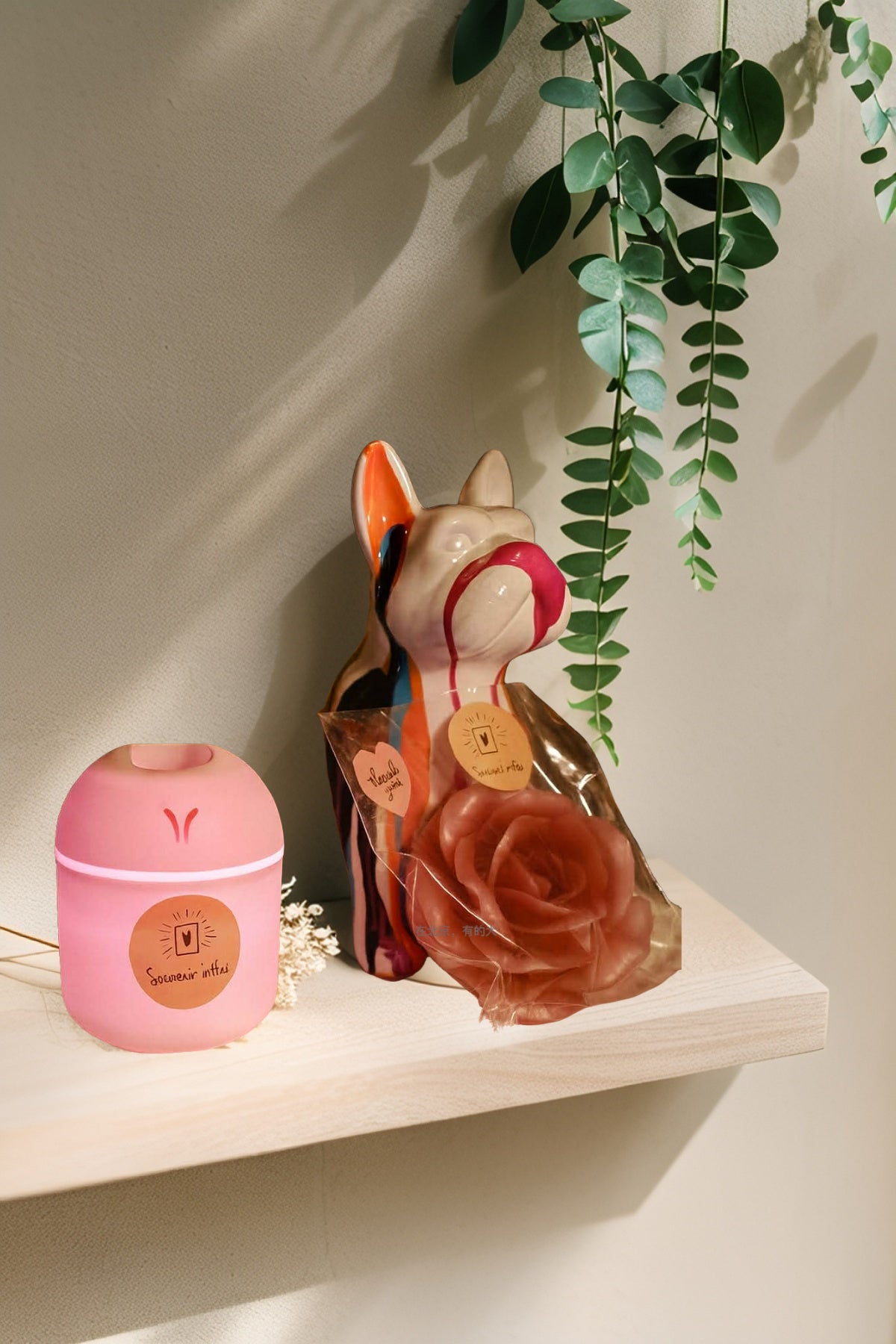 Humidificateur d'huiles essentielles (huiles essentielles comprises 10 ml)