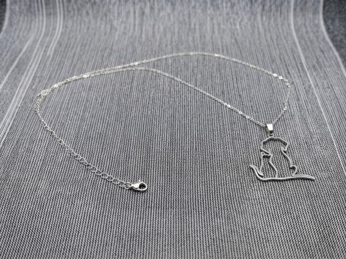 Collier amour de chien & chat – Souvenir Infini (acier inoxydable plaqué or blanc)