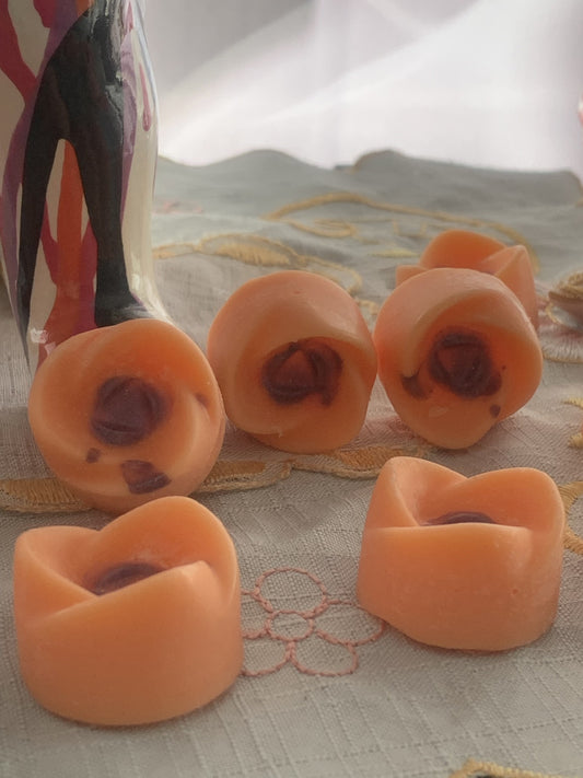 FONDANTS PARFUMES "ODEUR AUX CHOIX"