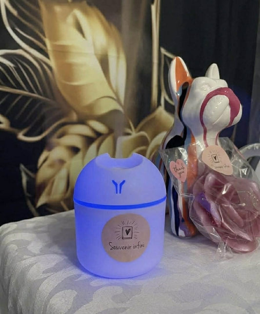 Humidificateur d'huiles essentielles (huiles essentielles comprises 10 ml)