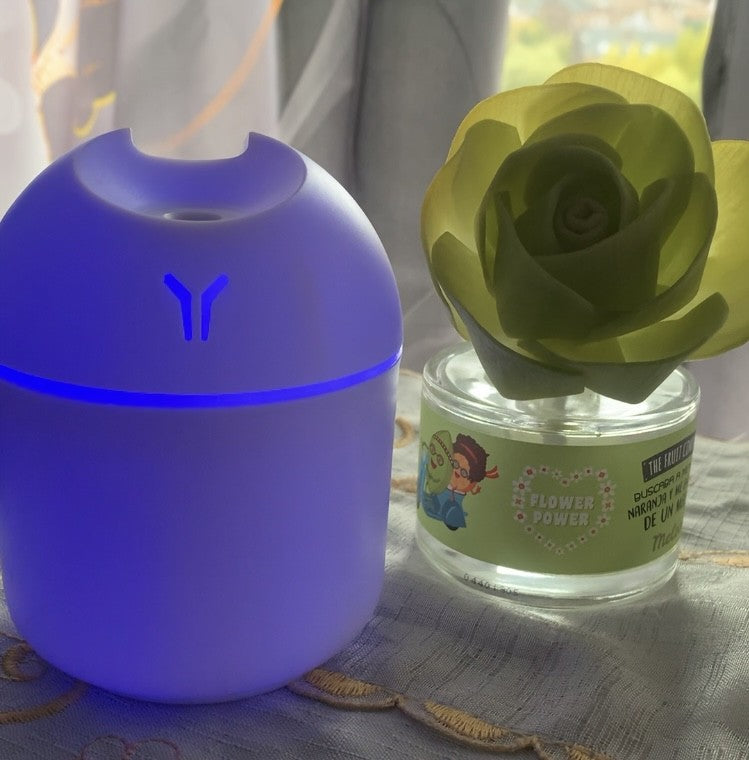 NOUVEAU Mini diffuseur d'huiles essentielles - Humidificateur d’Air USB 2-en-1 avec lampe led