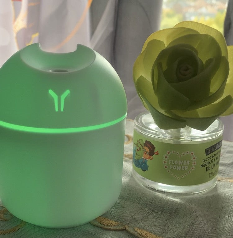 NOUVEAU Mini diffuseur d'huiles essentielles - Humidificateur d’Air USB 2-en-1 avec lampe led