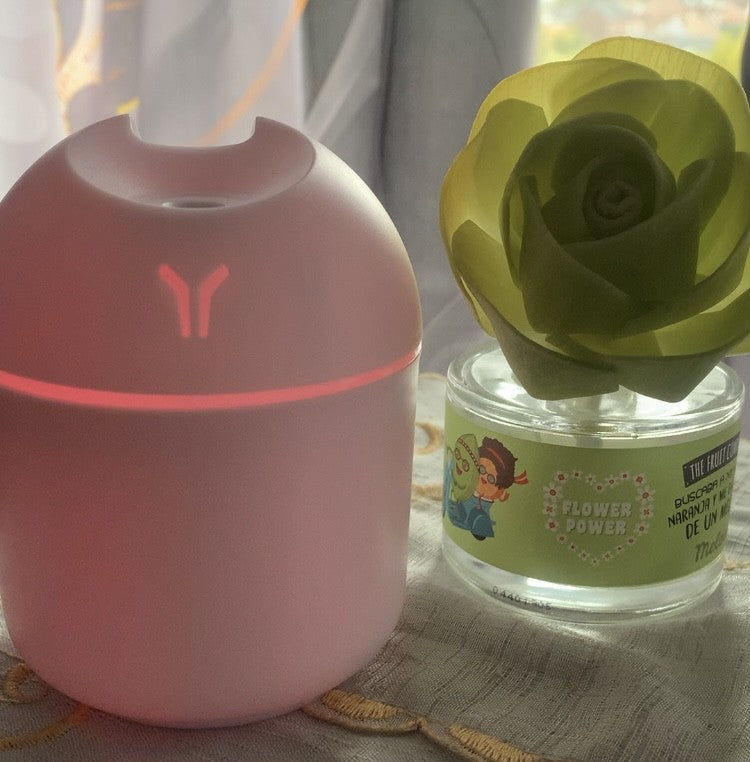 NOUVEAU Mini diffuseur d'huiles essentielles - Humidificateur d’Air USB 2-en-1 avec lampe led